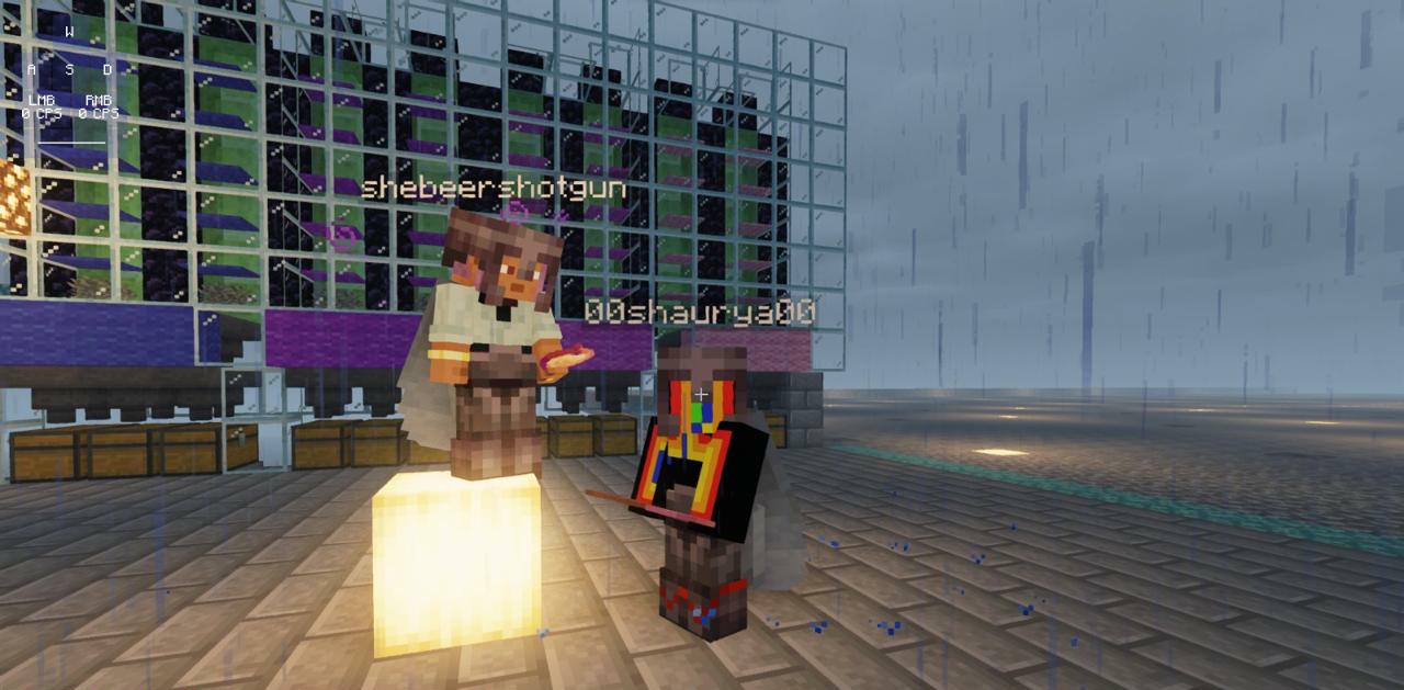 Minecraft anarchy server